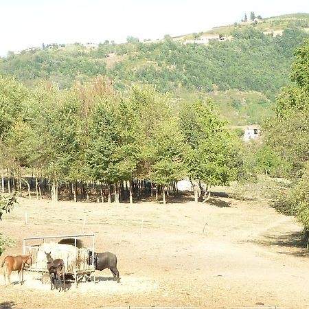 Villa Il Grappolo In Langa Monastero Bormida Esterno foto