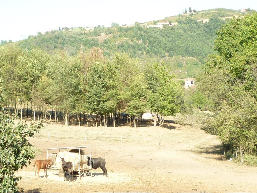 Villa Il Grappolo In Langa Monastero Bormida Esterno foto